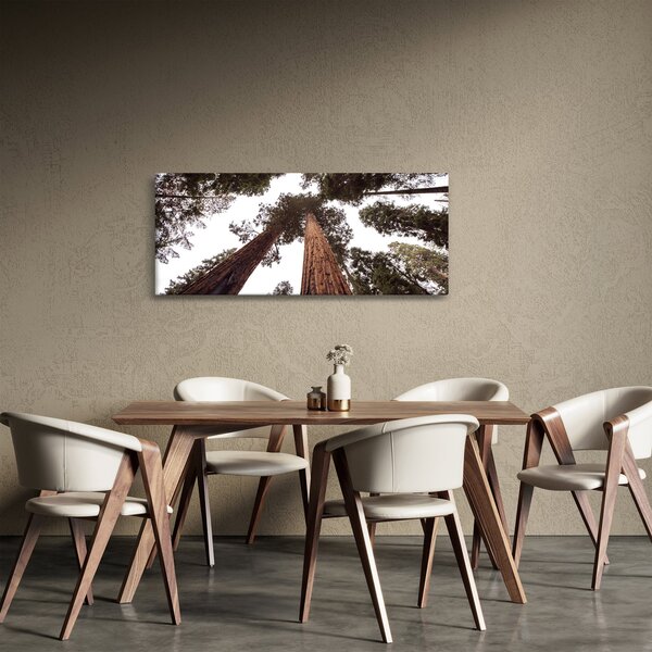 Kép - Kilátás a fák között (120x50 cm)