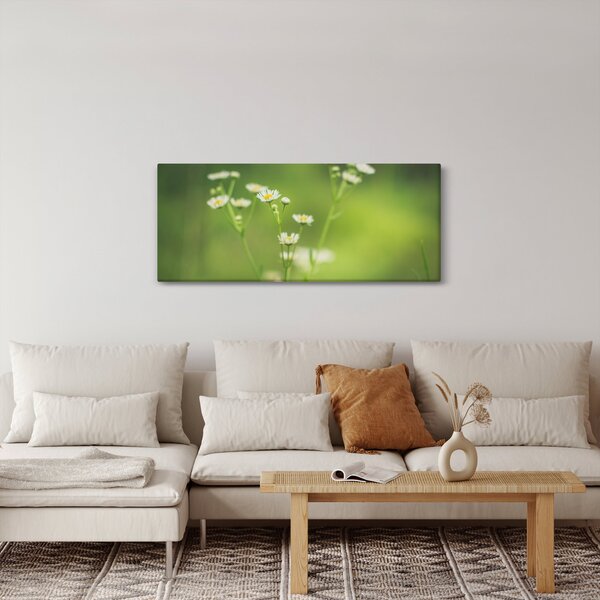 Egy százszorszép képe (120x50 cm)