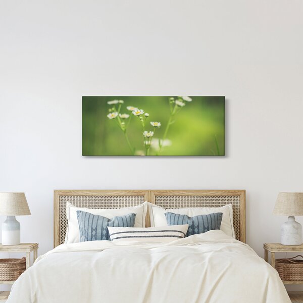 Egy százszorszép képe (120x50 cm)