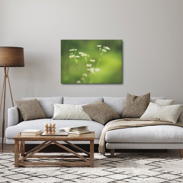 Egy százszorszép képe (70x50 cm)