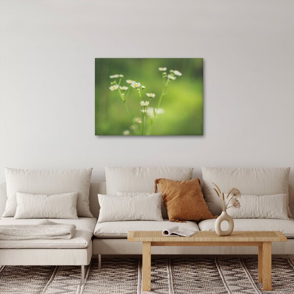 Egy százszorszép képe (70x50 cm)