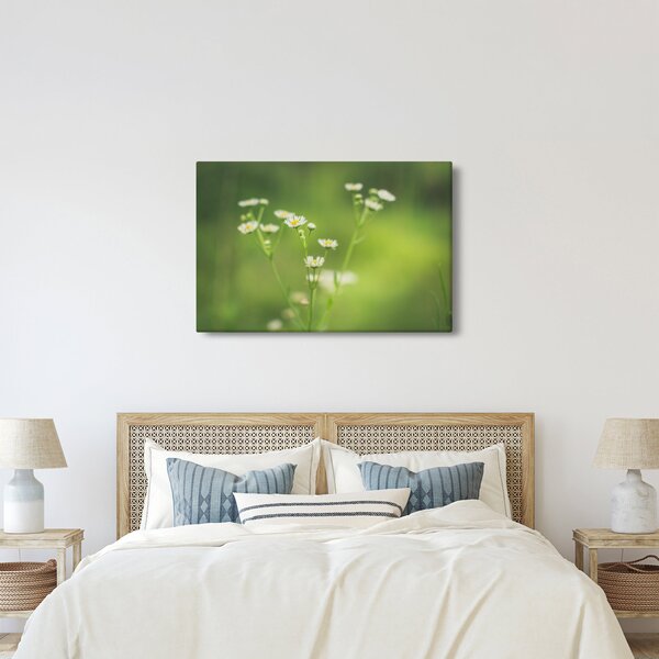 Egy százszorszép képe (90x60 cm)