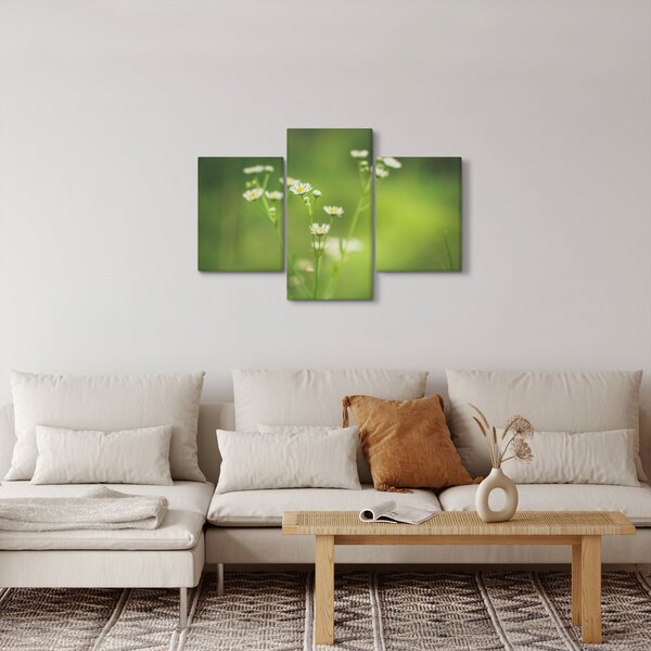 Egy százszorszép képe (90x60 cm)