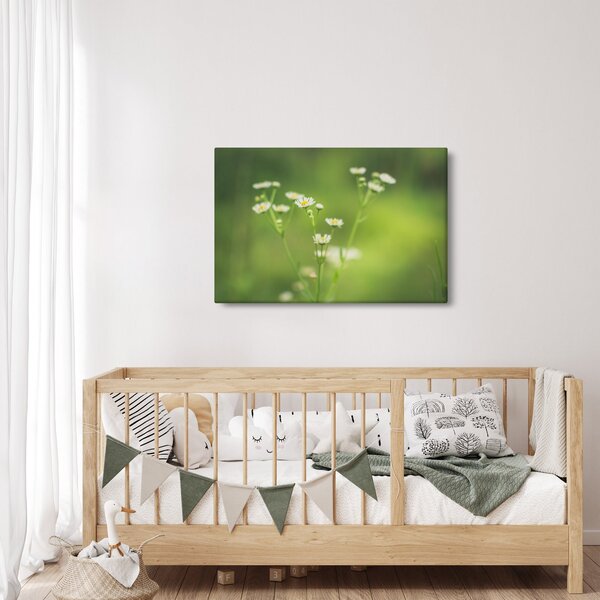 Egy százszorszép képe (90x60 cm)