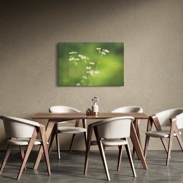 Egy százszorszép képe (90x60 cm)