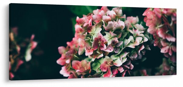 Kép - Hortenzia részlete (120x50 cm)