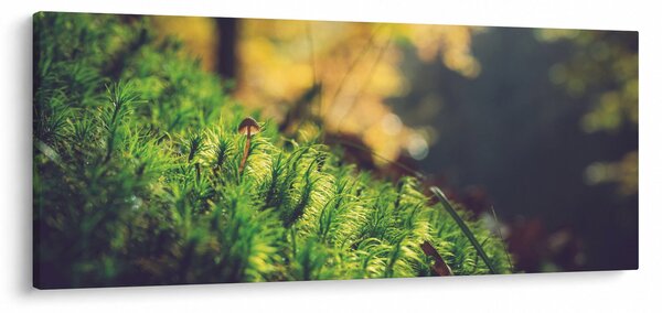 A moha képe gombával (120x50 cm)