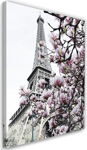 Gario Vászonkép Eiffel-torony és magnóliák - Dmitry Belov Méret: 40 x 60 cm