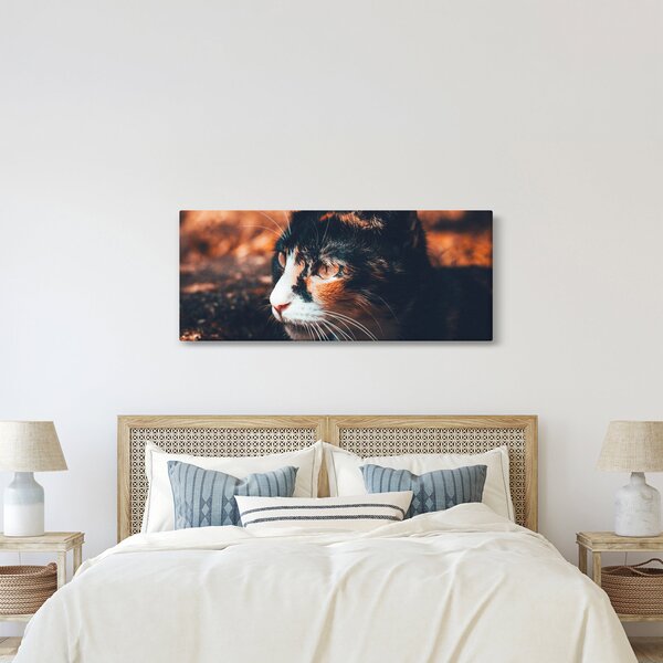 Kép - A macska látképe (120x50 cm)