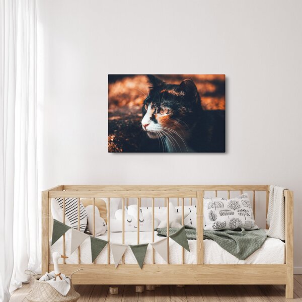 Kép - A macska látképe (90x60 cm)