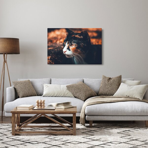 Kép - A macska látképe (90x60 cm)