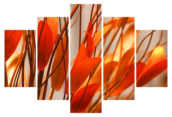 A szirmok képe (150x105 cm)