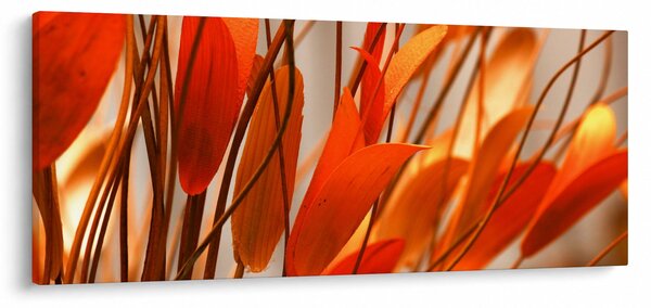 A szirmok képe (120x50 cm)