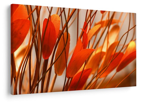 A szirmok képe (90x60 cm)