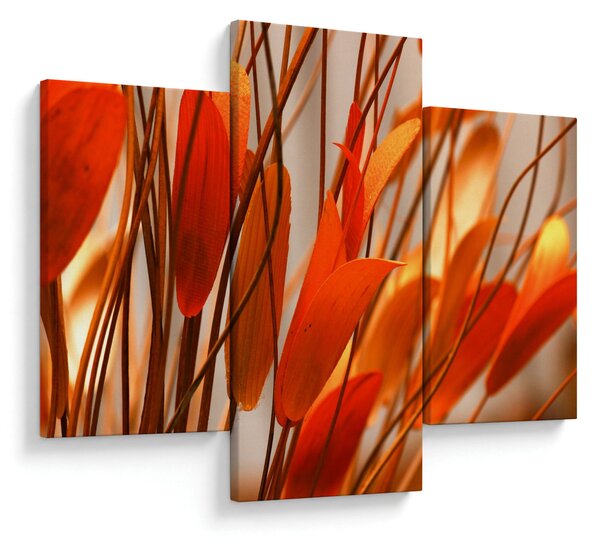 A szirmok képe (90x60 cm)