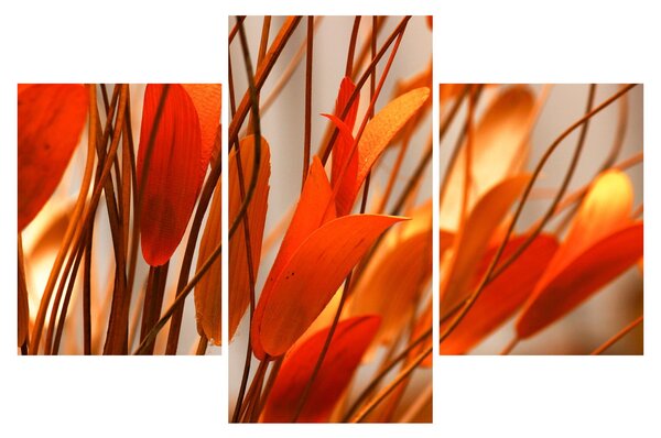 A szirmok képe (90x60 cm)