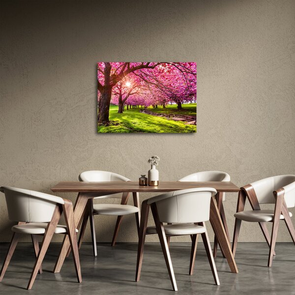 A virágzó cseresznye képe, Hurd Park, Dover, New Jersey (70x50 cm)