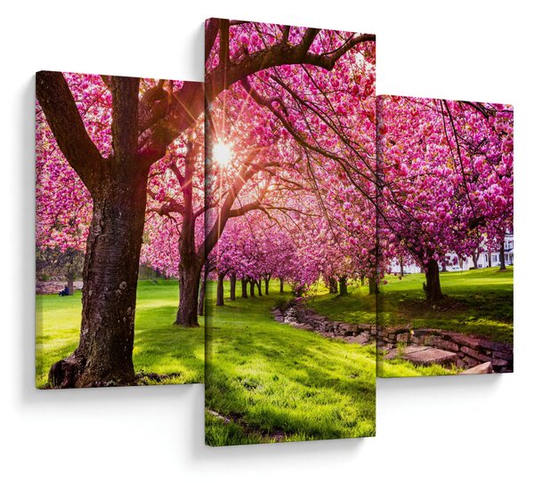 A virágzó cseresznye képe, Hurd Park, Dover, New Jersey (90x60 cm)