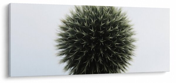 Egy viráglabda képe (120x50 cm)