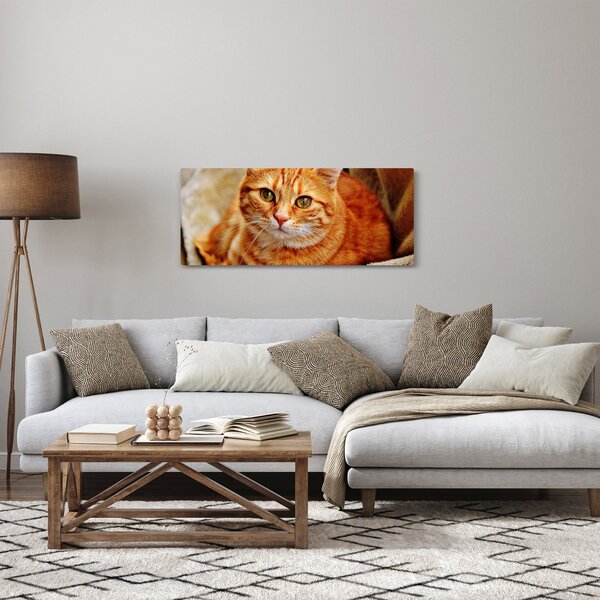 Egy fekvő macska képe (120x50 cm)