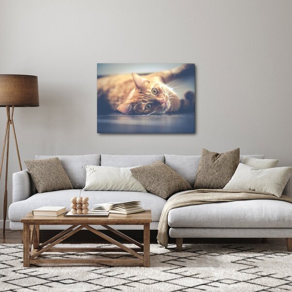 Egy kép a macskáról a padlón (70x50 cm)
