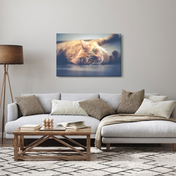 Egy kép a macskáról a padlón (90x60 cm)