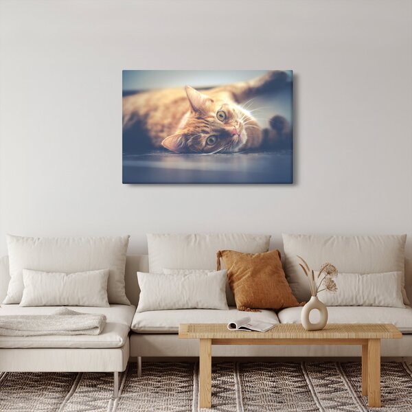 Egy kép a macskáról a padlón (90x60 cm)