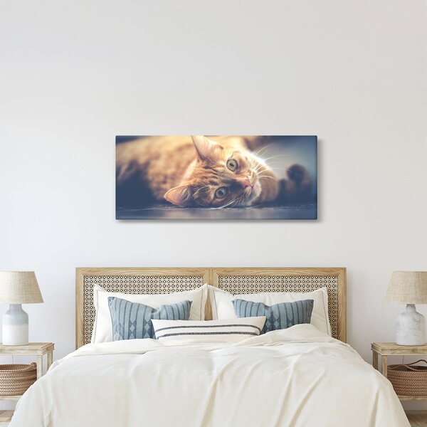 Egy kép a macskáról a padlón (120x50 cm)