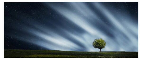 Az aurora borealis képe egy lápvidéken (120x50 cm)