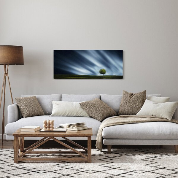 Az aurora borealis képe egy lápvidéken (120x50 cm)