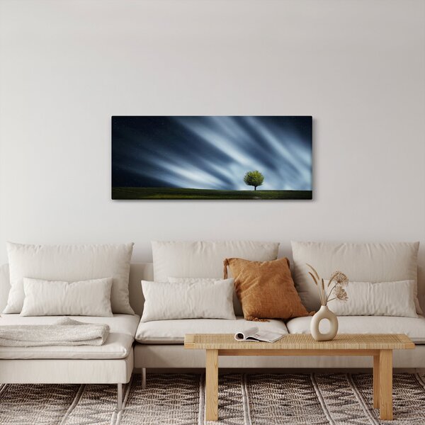 Az aurora borealis képe egy lápvidéken (120x50 cm)