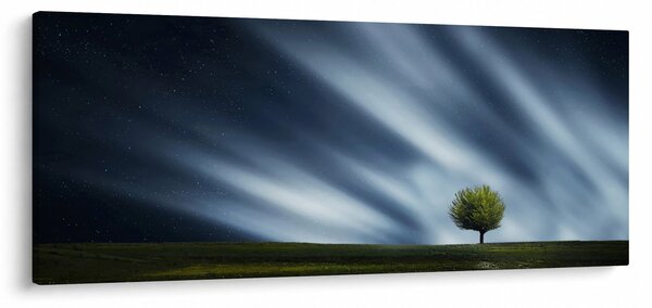 Az aurora borealis képe egy lápvidéken (120x50 cm)
