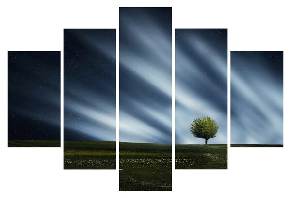 Az aurora borealis képe egy lápvidéken (150x105 cm)