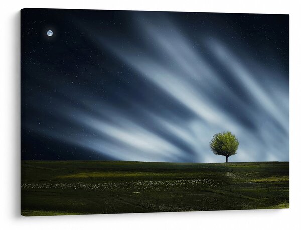 Az aurora borealis képe egy lápvidéken (70x50 cm)