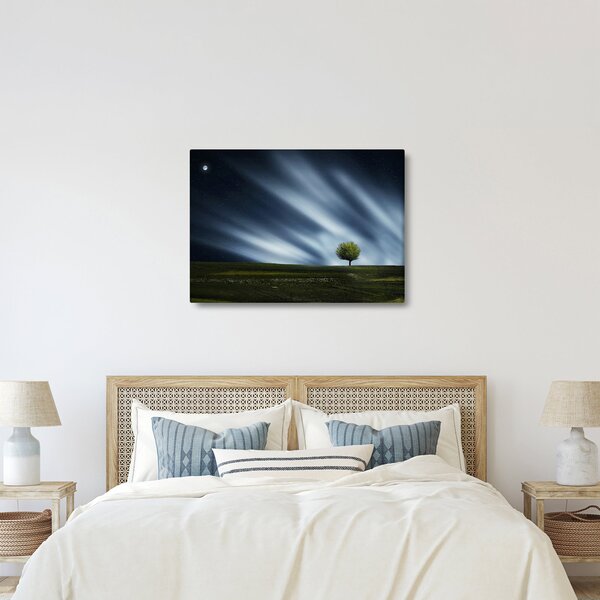Az aurora borealis képe egy lápvidéken (70x50 cm)