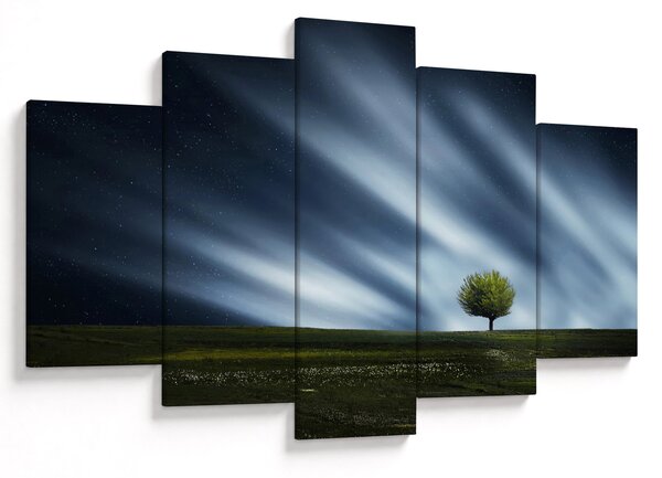 Az aurora borealis képe egy lápvidéken (150x105 cm)