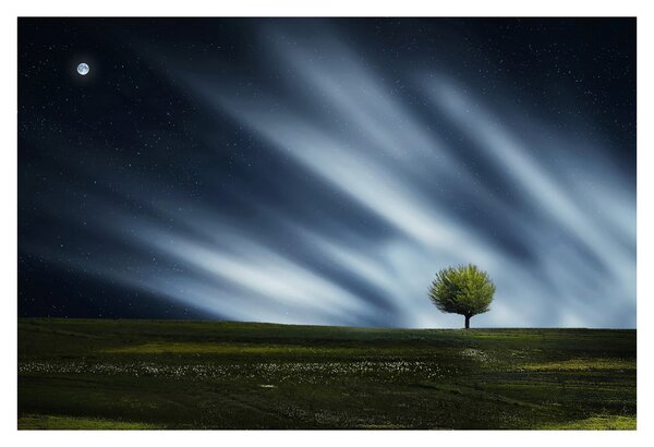 Az aurora borealis képe egy lápvidéken (90x60 cm)