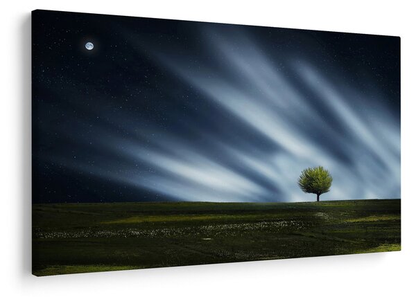 Az aurora borealis képe egy lápvidéken (90x60 cm)