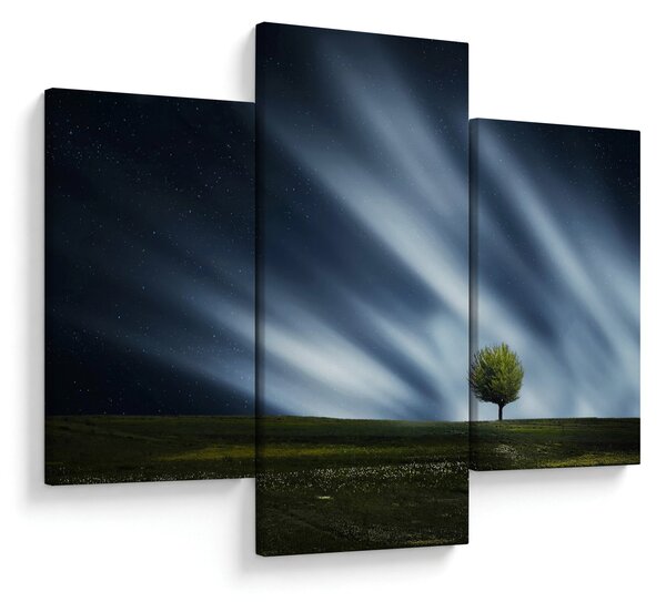 Az aurora borealis képe egy lápvidéken (90x60 cm)
