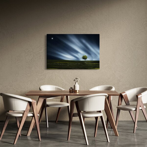 Az aurora borealis képe egy lápvidéken (90x60 cm)