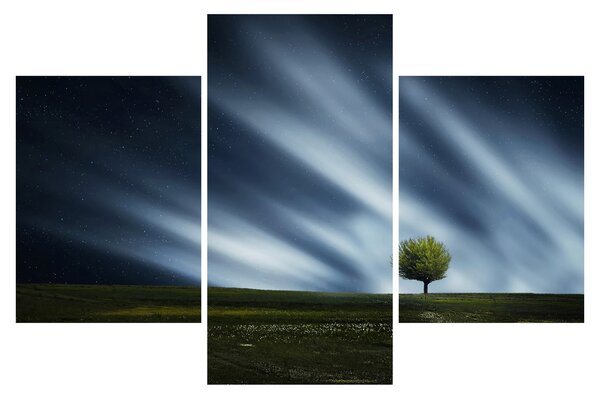 Az aurora borealis képe egy lápvidéken (90x60 cm)