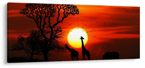 Kép - Állatok sziluettjei napnyugtakor (120x50 cm)