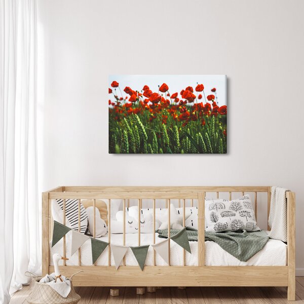A pipacsok képe a szélben (90x60 cm)
