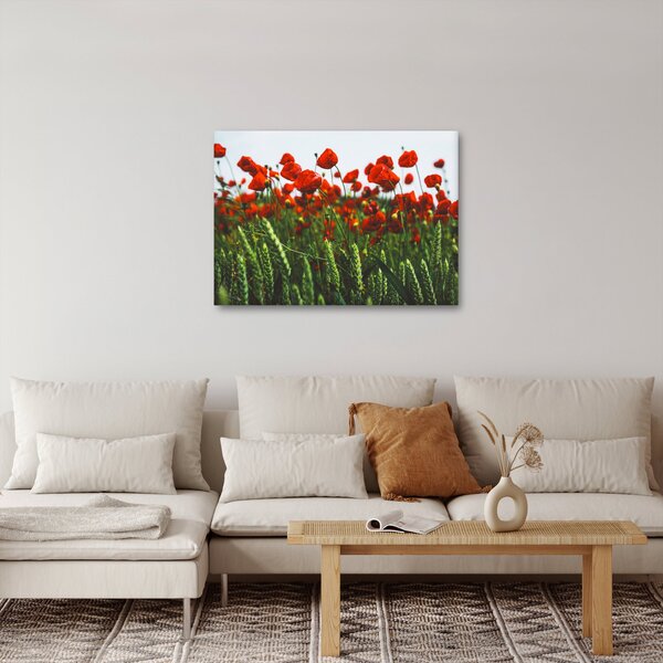 A pipacsok képe a szélben (70x50 cm)