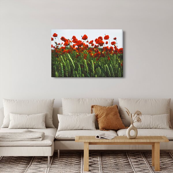 A pipacsok képe a szélben (90x60 cm)