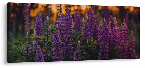 Egy csillagfürt virág képe (120x50 cm)