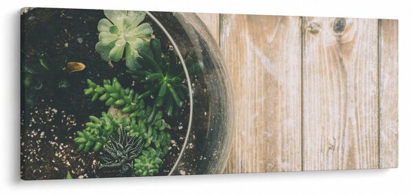 A pozsgás növények képe üvegben (120x50 cm)