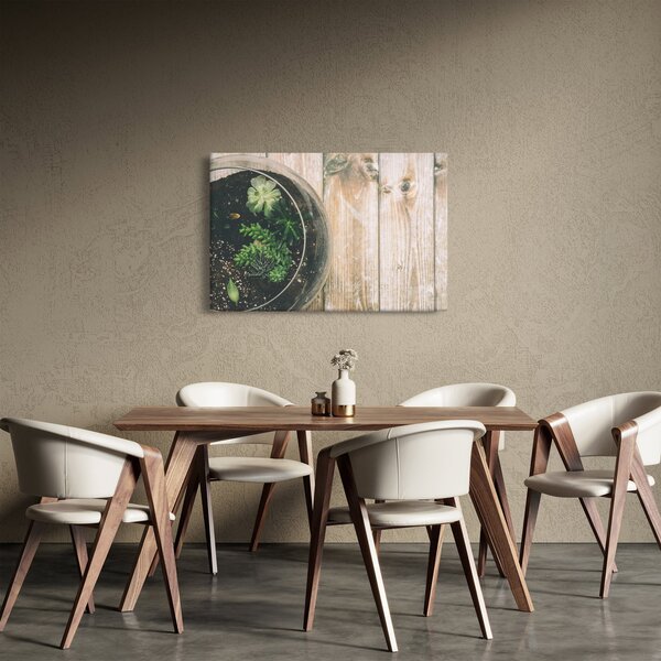 A pozsgás növények képe üvegben (90x60 cm)