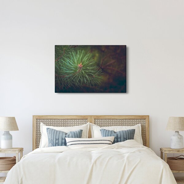 Kép - Fenyőfa részlete (90x60 cm)