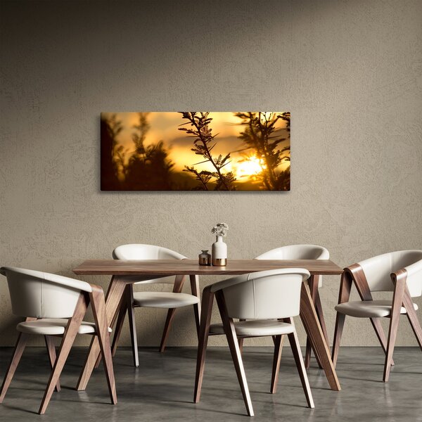 Kép - A nap lenyugszik a fák mögött (120x50 cm)
